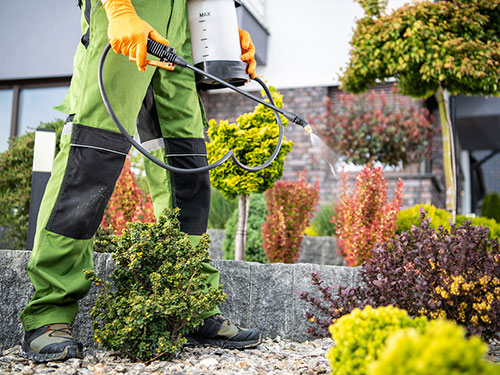 landscaping chemical