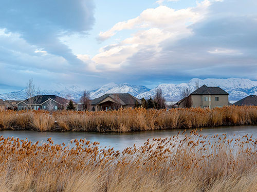 river reeds houses