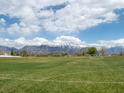 soccer field