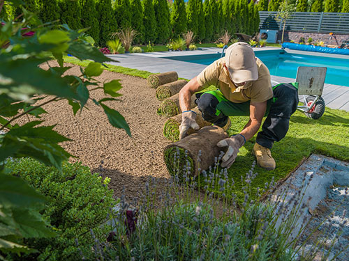 sod backyard pool